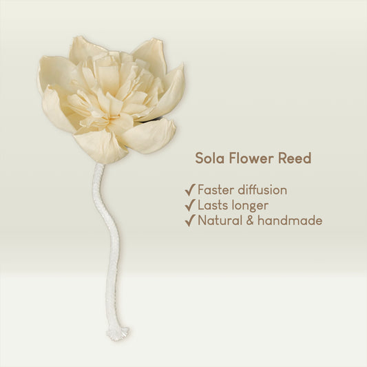 Sola Flower for Diffusers