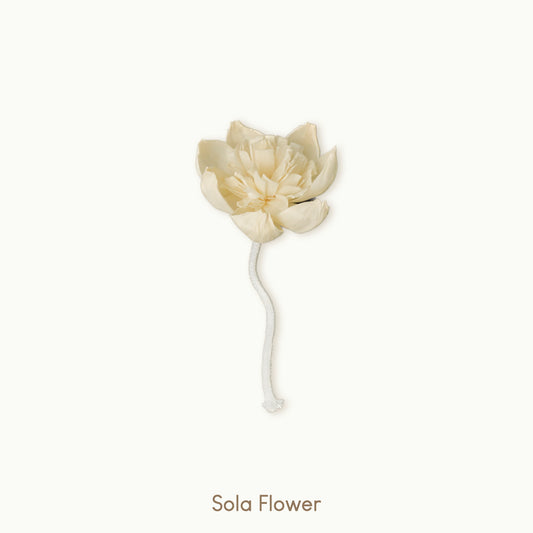 Sola Flower for Diffusers