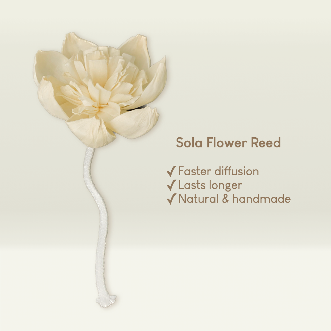 Reed Diffuser Cashmere Blanket 100mL