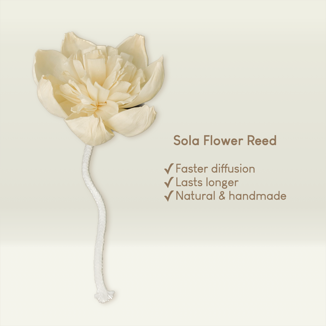 Reed Diffuser Rain 100mL