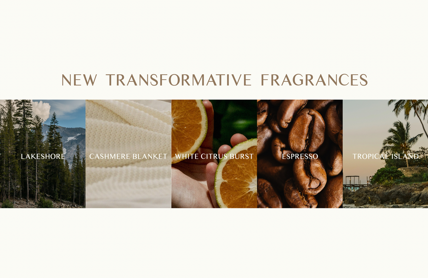 New Scents Alert! Lakeshore, Cashmere Blanket, White Citrus Burst, Espresso, Tropical Island. Now available in Scented Candle, Reed Diffuser, and Air Mist!