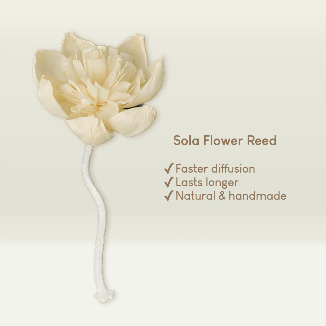 Floper Diffuser Sola Flower for Diffusers – Lit Candle Co.®
